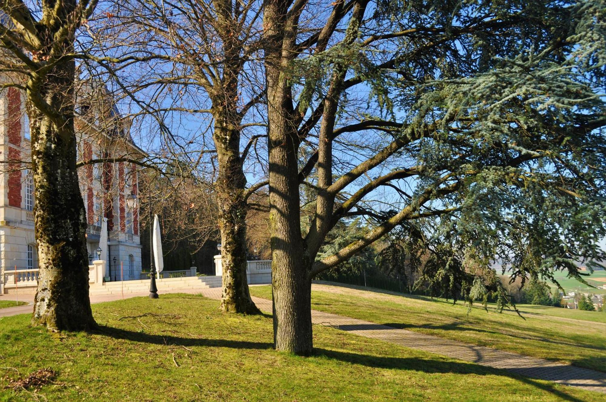 Domaine De Mont-Renaud Hotel Boncourt Luaran gambar